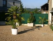 jardin